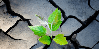 Enterprise Resilience – A Model to Thrive in a World of Change Enterprise Resilience