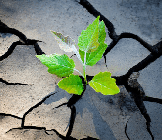 Enterprise Resilience – A Model to Thrive in a World of Change Enterprise Resilience