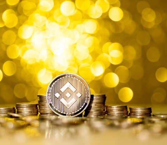 BNB Chain Halted After Suspected Hack, $536M Compromised BNB Wallet Hack